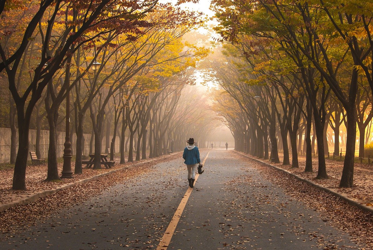 road, girl, trees