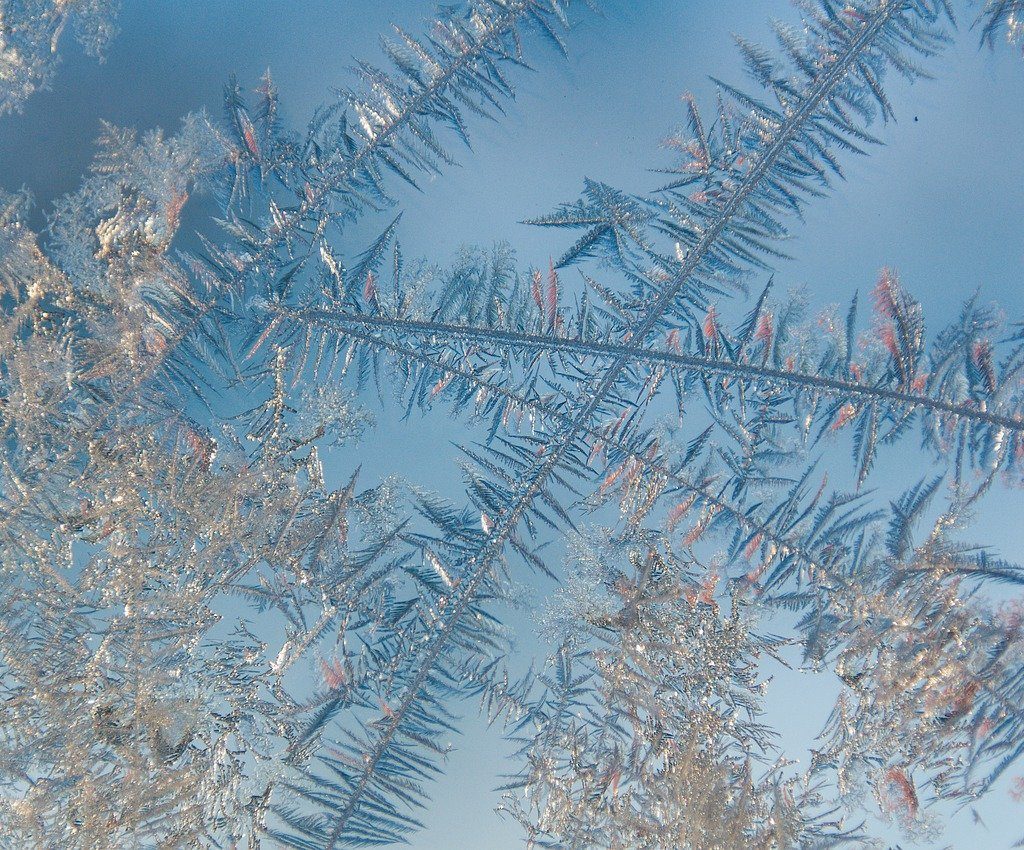 winter, frost, nature-6897046.jpg